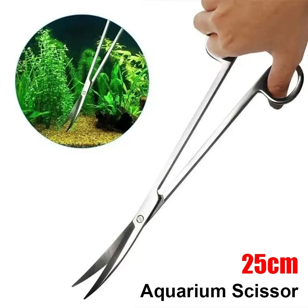 Aquarium Plants - 1Pcs New Stainless Steel Aquarium Scissor