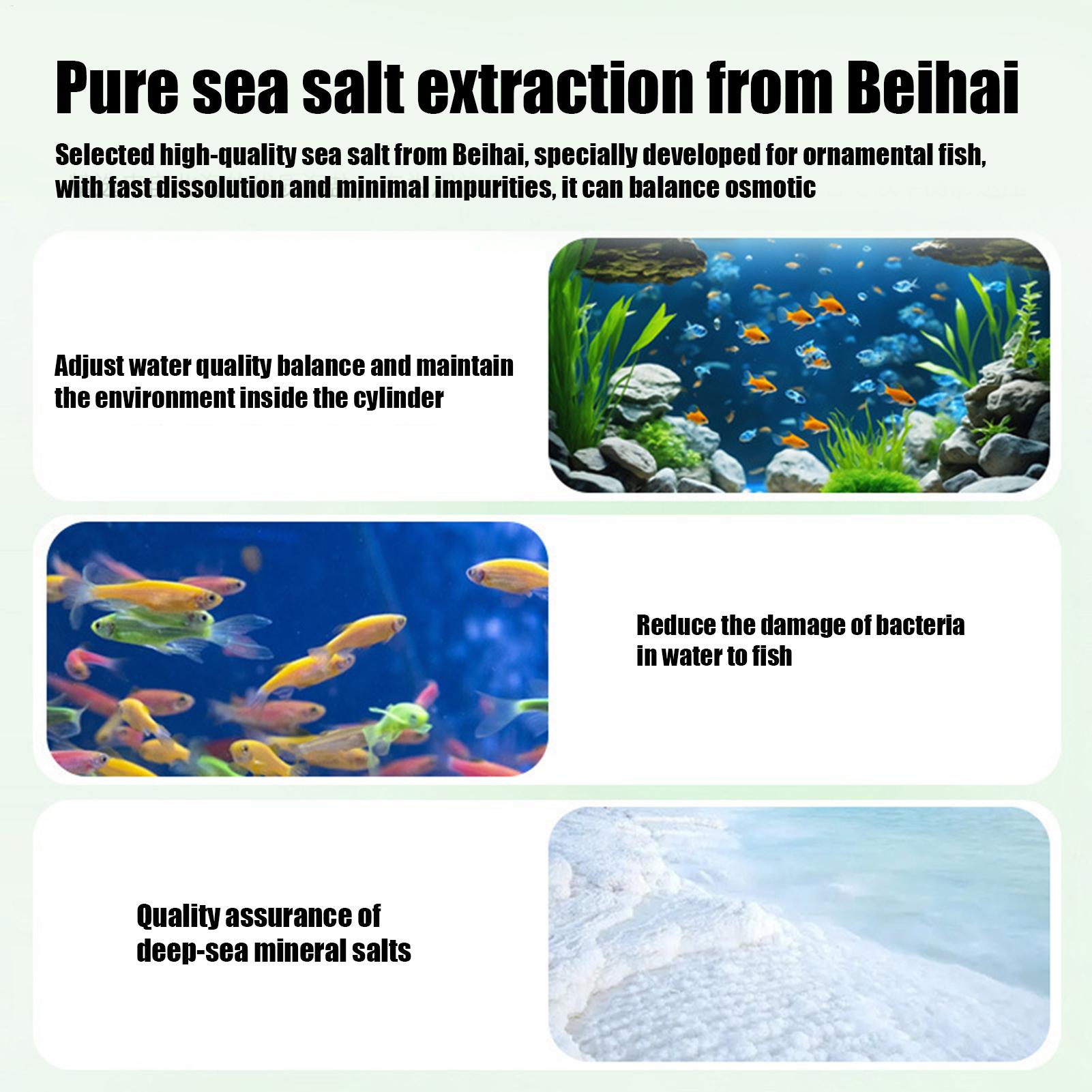 Fish Can Algae Remover Aquariu - Betta Fish Tank 评论和价格