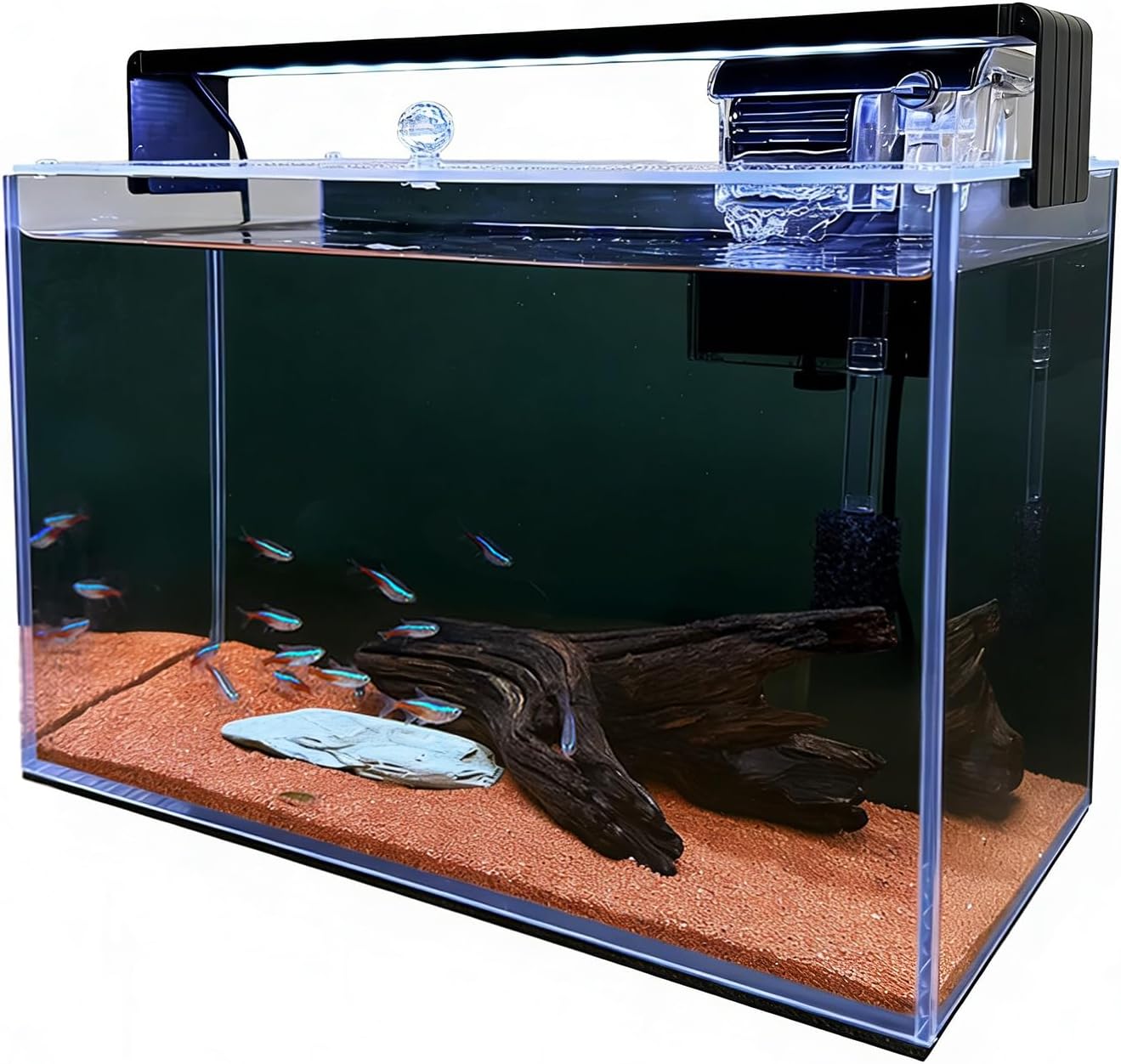 3.2 Gallon Nano Nature Aquariu - Betta Fish Tank 评论和价格