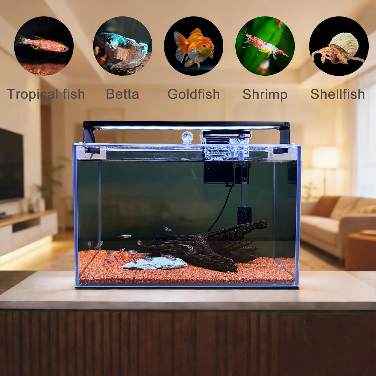 3.2 Gallon Nano Nature Aquariu - Betta Fish Tank 评论和价格