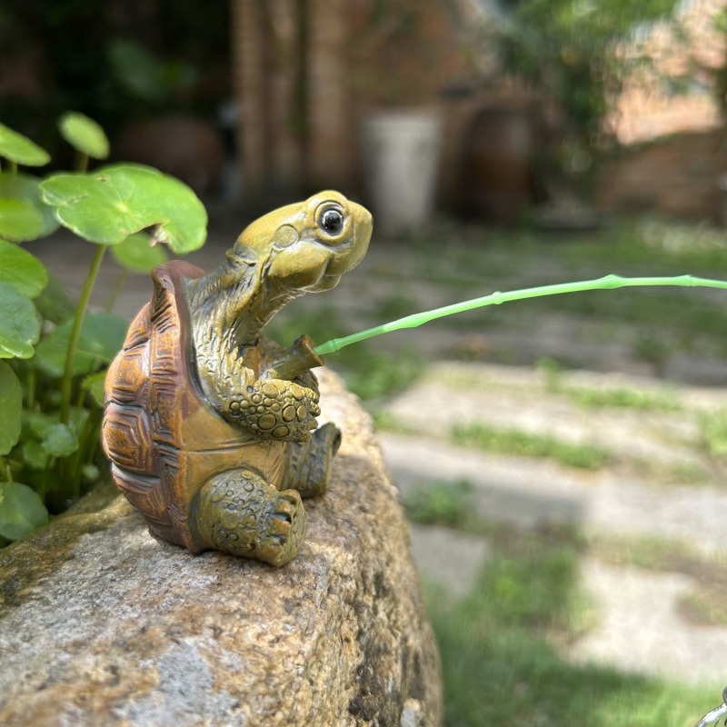 Turtle Fishing Fish Tank Aquar - Fish Aquarium Home 评论和价格