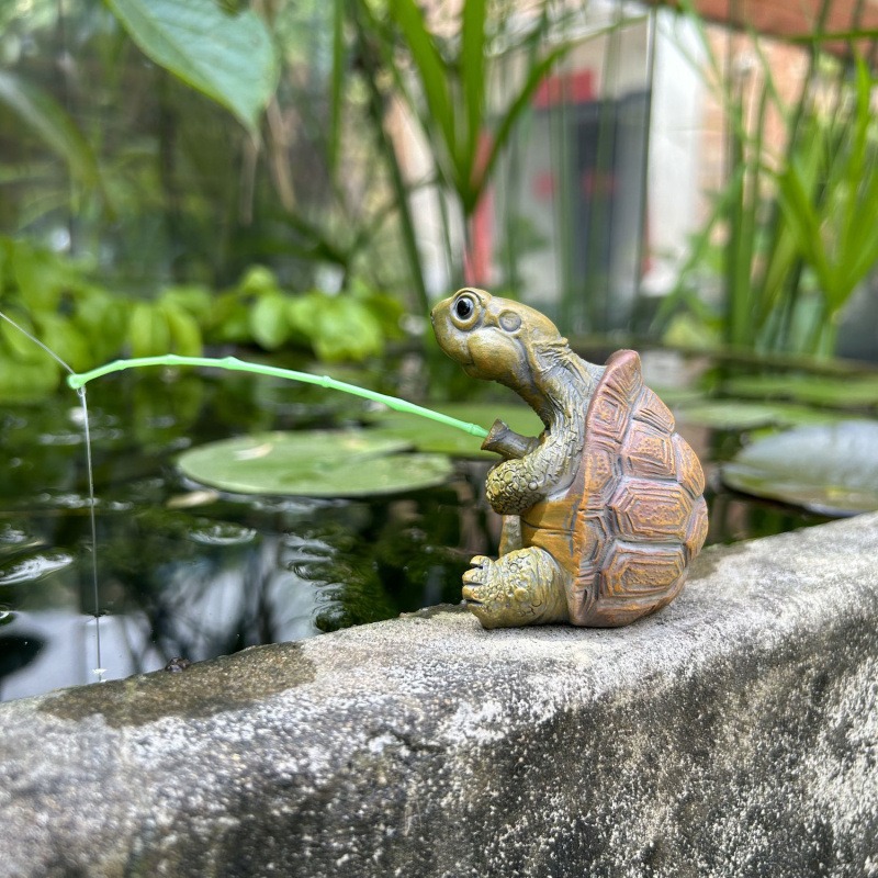 Turtle Fishing Fish Tank Aquar - Fish Aquarium Home 评论和价格