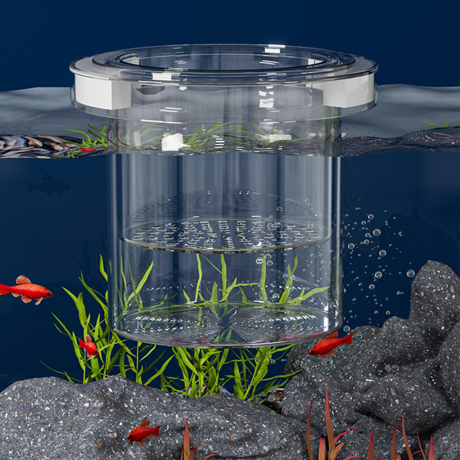 Floating Fish Breeding Isolati - Betta Fish Tank 评论和价格