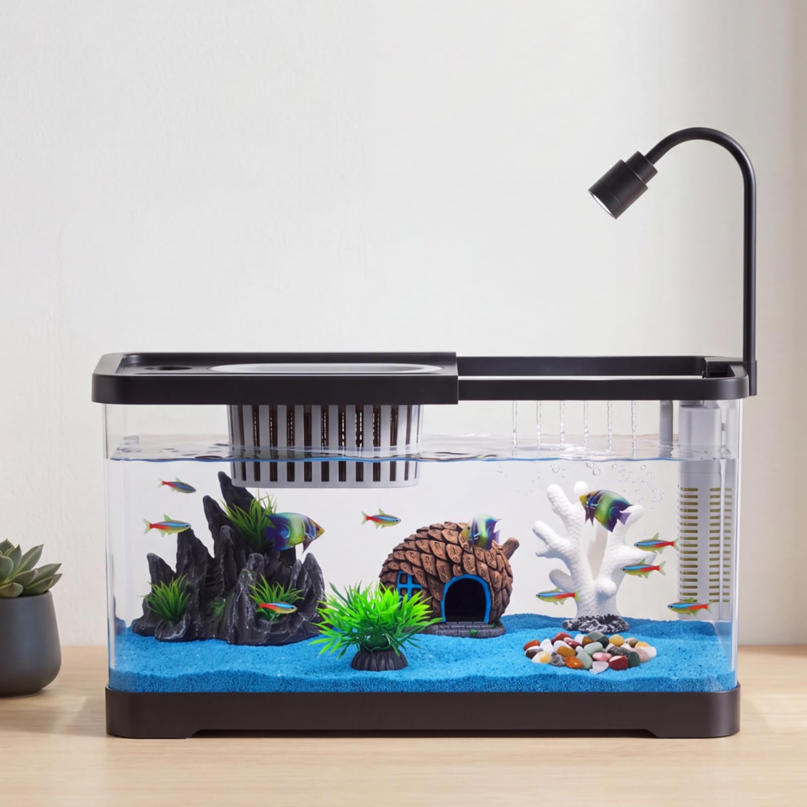 Fish Tank Starter Kit With Fil - Betta Fish Tank 评论和价格