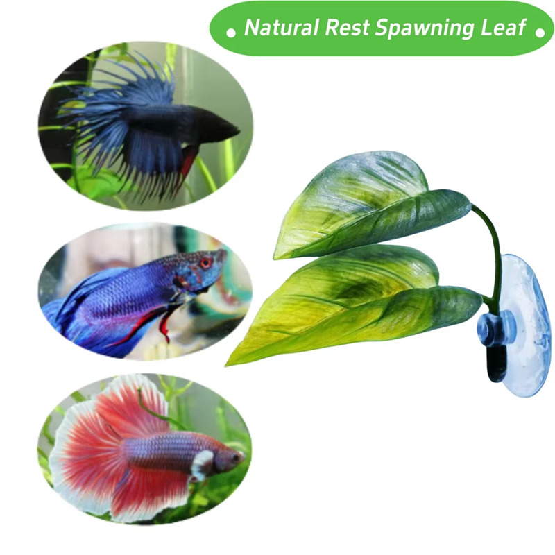 Aquarium Pet Supplies Decorati - Betta Fish Tank 评论和价格