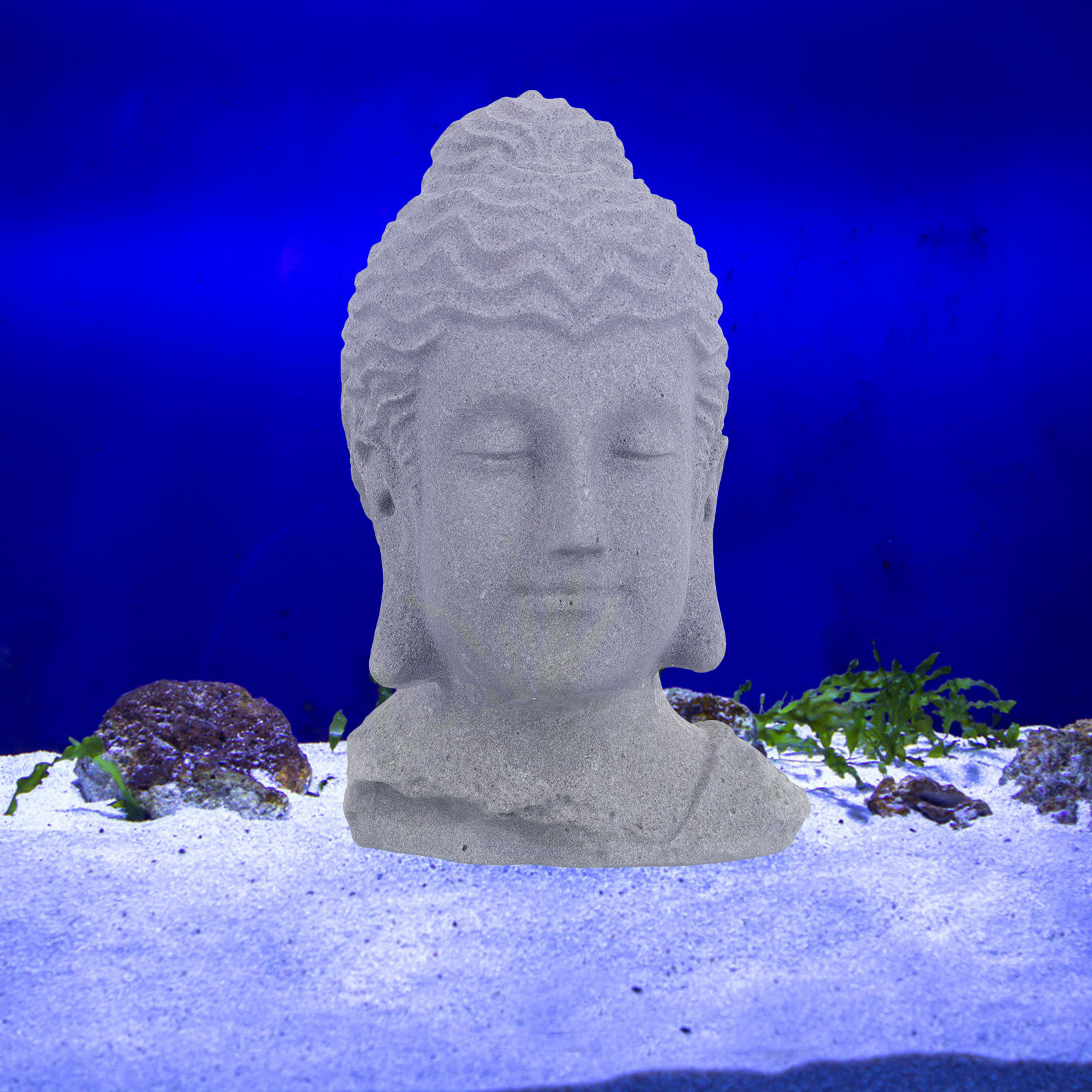 Meditating Buddha Head Statue  - Aquarium Fish Tank 评论和价格