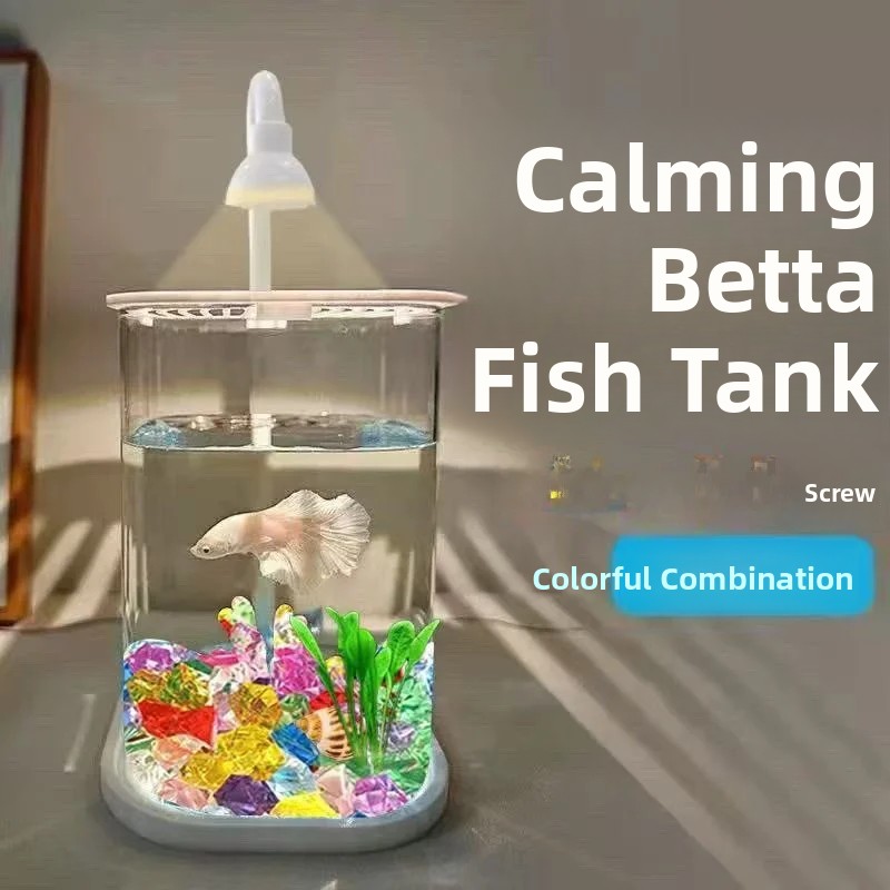Full Set Transparent  Aquarium - Aquarium Fish Betta 评论和价格