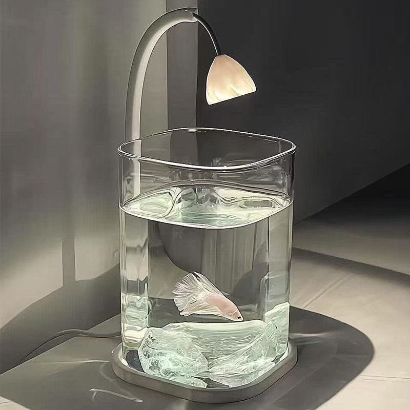 Full Set Transparent  Aquarium - Aquarium Fish Betta 评论和价格