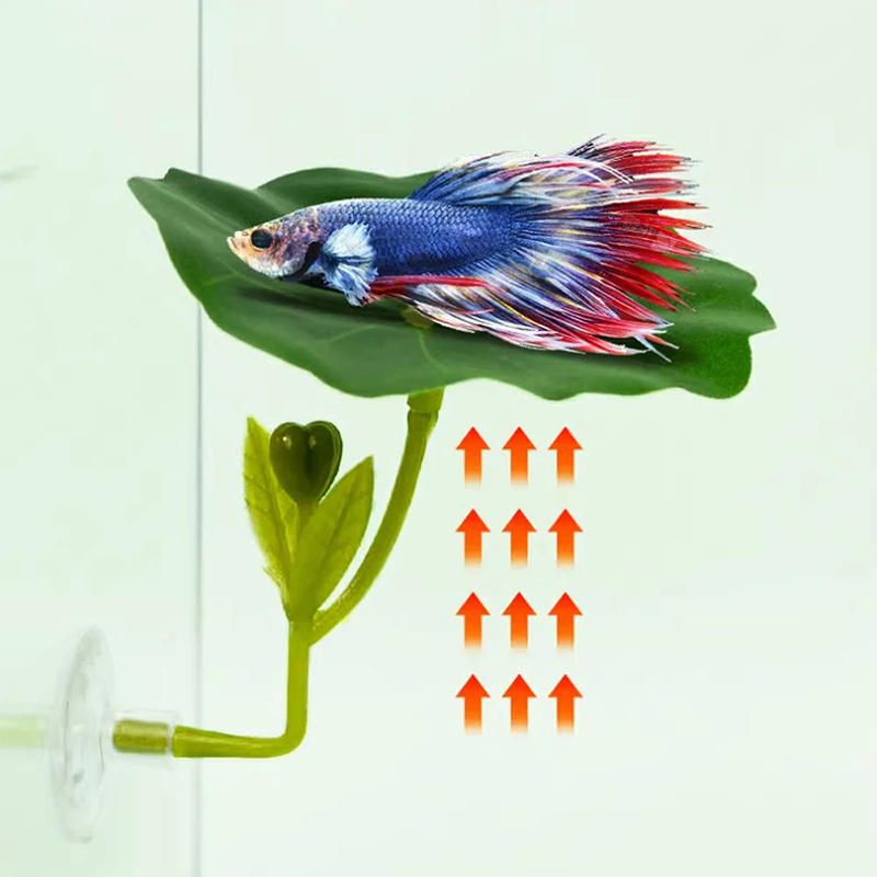(Ce14)1/5PC Green Leaf Hammock - Betta Fish Tank 评论和价格
