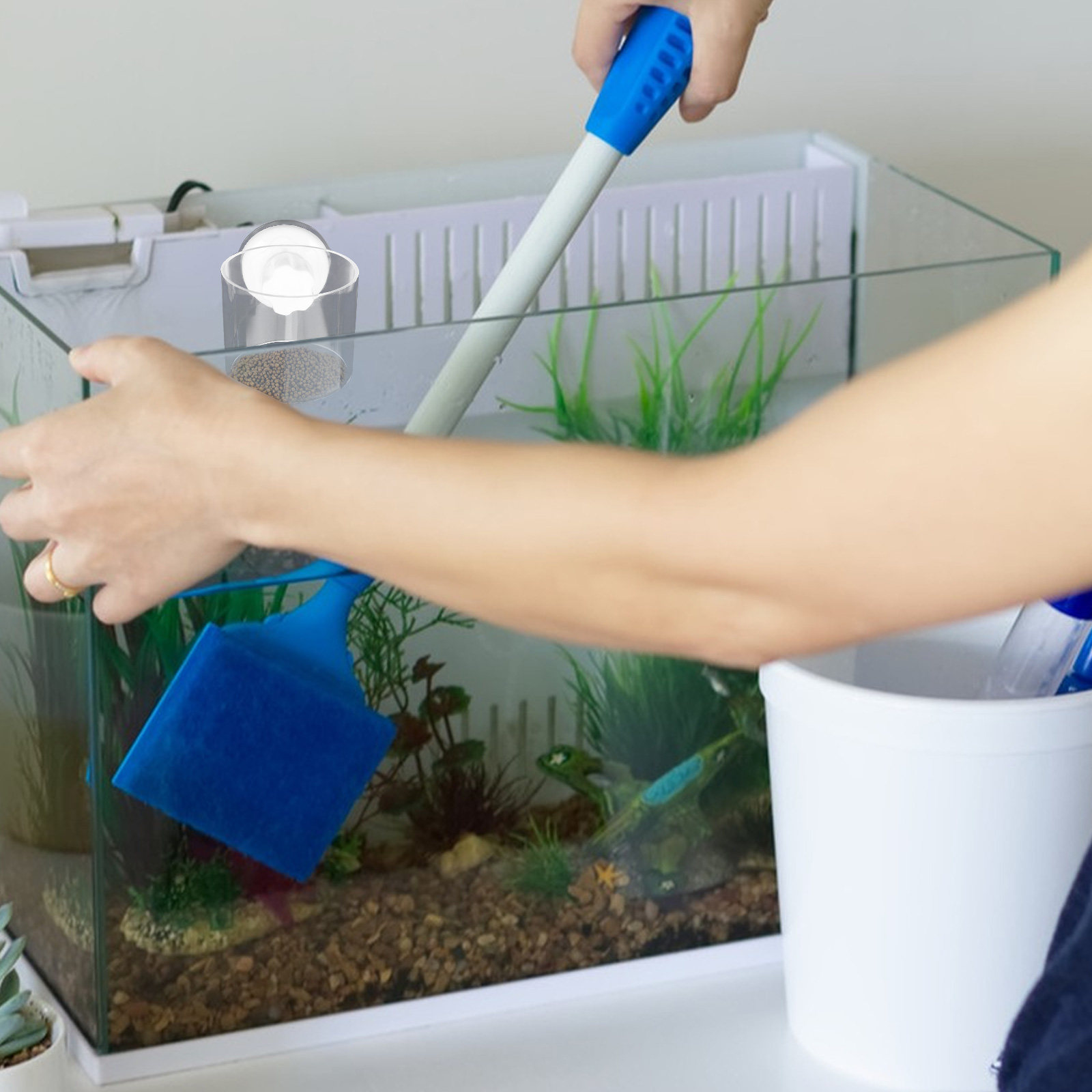 2Pcs Aquarium Feeding Ring Fis - Aquarium Fish Keeping 评论和价格