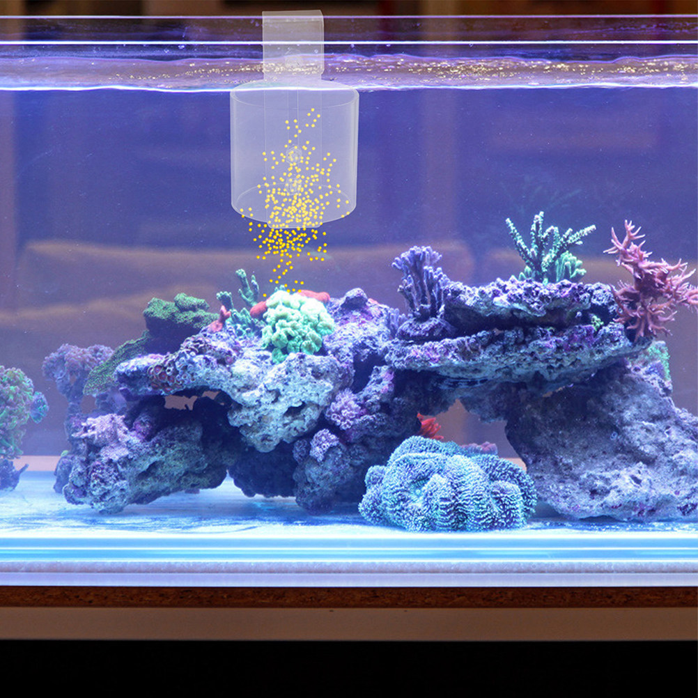 Adjustable Floating Acrylic Fi - Aquarium Fish Keeping 评论和价格