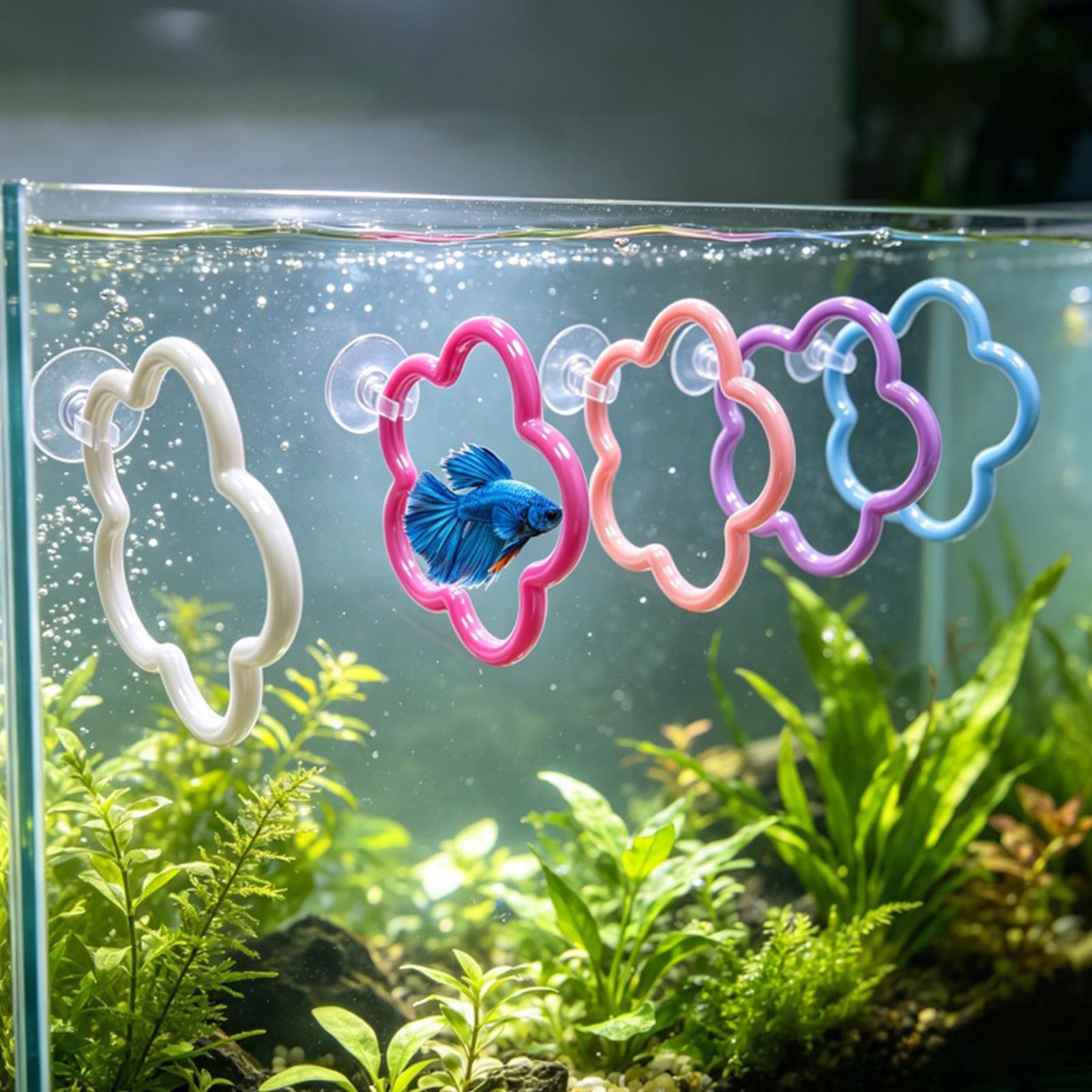 Betta Fish Toys 5 Pieces Color - Aquarium Fish Betta 评论和价格