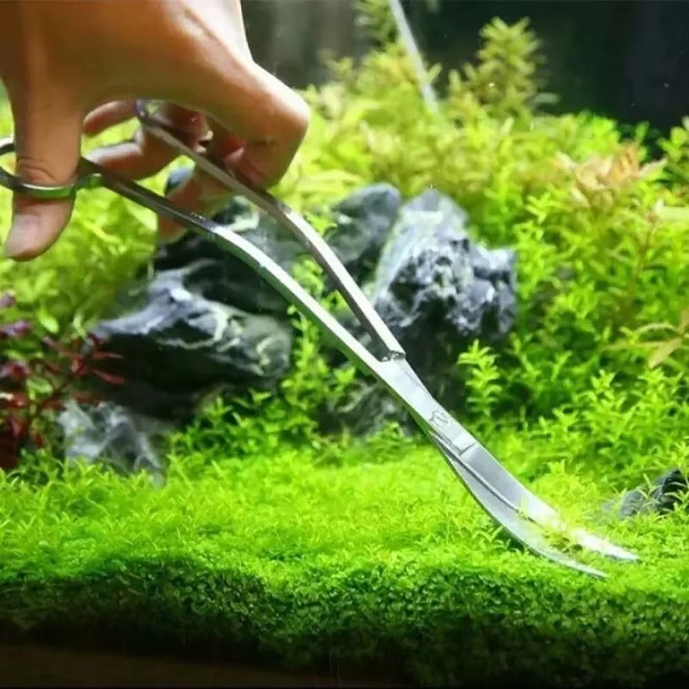 1Pcs New Stainless Steel Aquar - Aquarium Plants 评论和价格