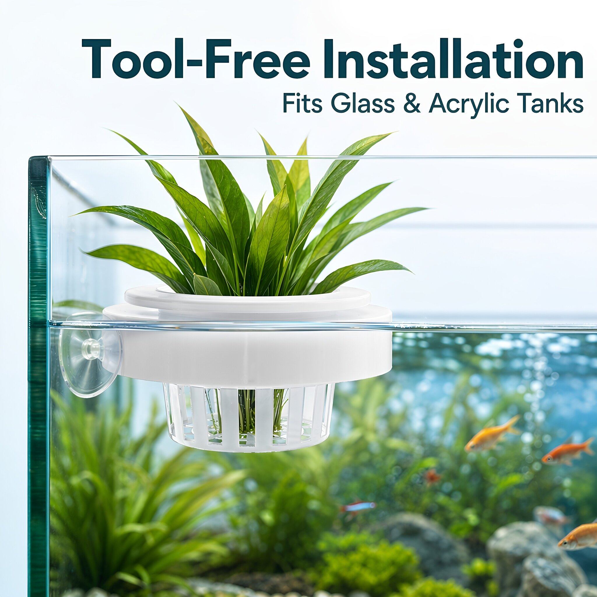 4pcs Floating Aquarium Plant B - Aquarium Plants 评论和价格